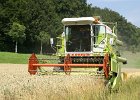 Claas Drescher 59